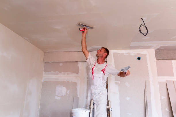 Best Trim and Molding Painting  in Milliken, CO