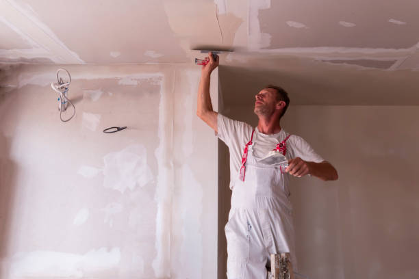 Best Drywall Sanding and Smoothing  in Milliken, CO