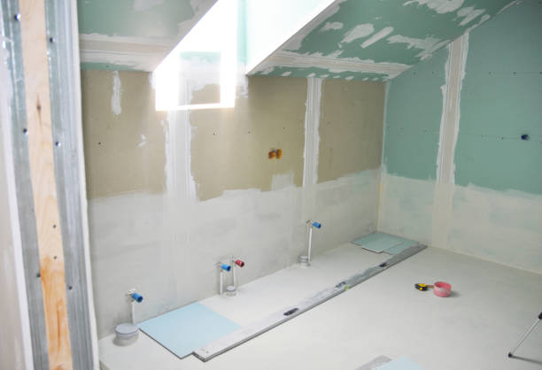 Best Drywall Removal and Disposal  in Milliken, CO